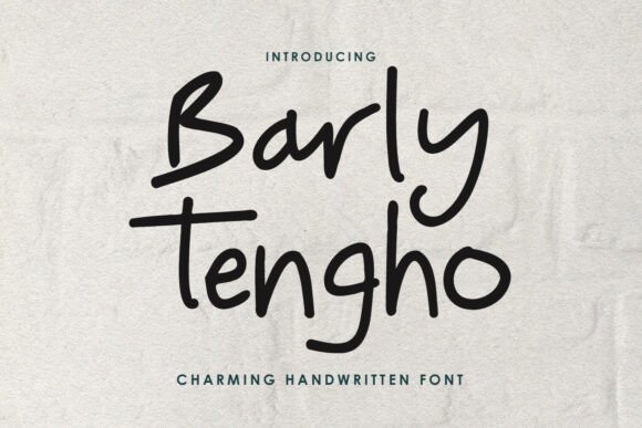 Barly Tengho: A Warm Handwritten Font for Branding Projects