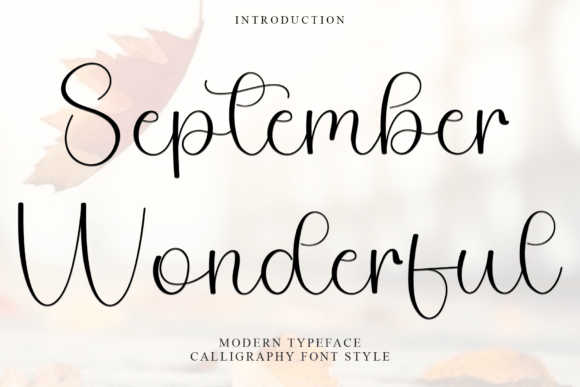 September Wonderful: A Font That Elevates Branding